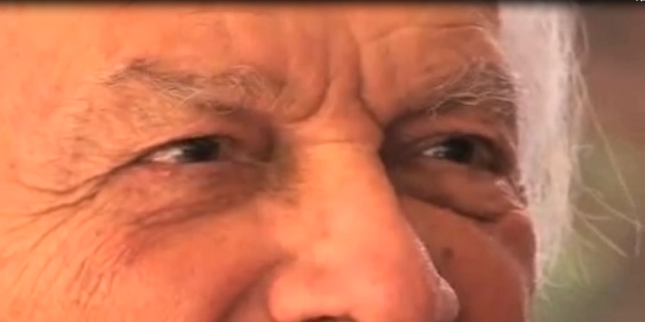 Cattura Giorgio albertazzi